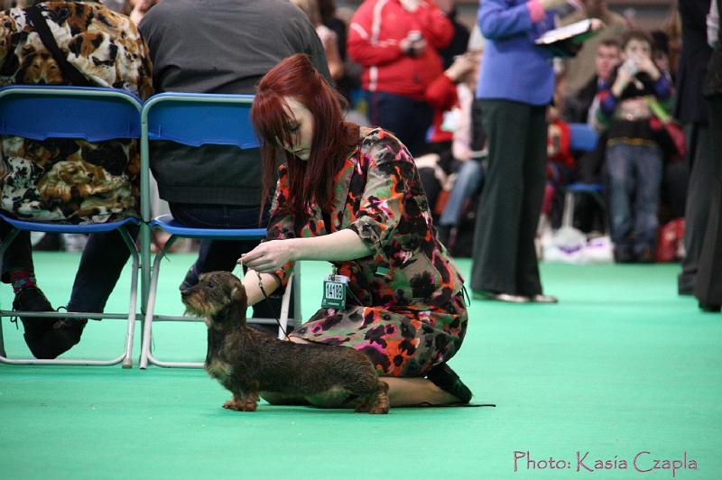 Crufts2011_2 1138.jpg